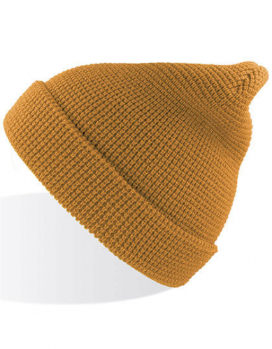 Blog Beanie - AT797 - Atlantis