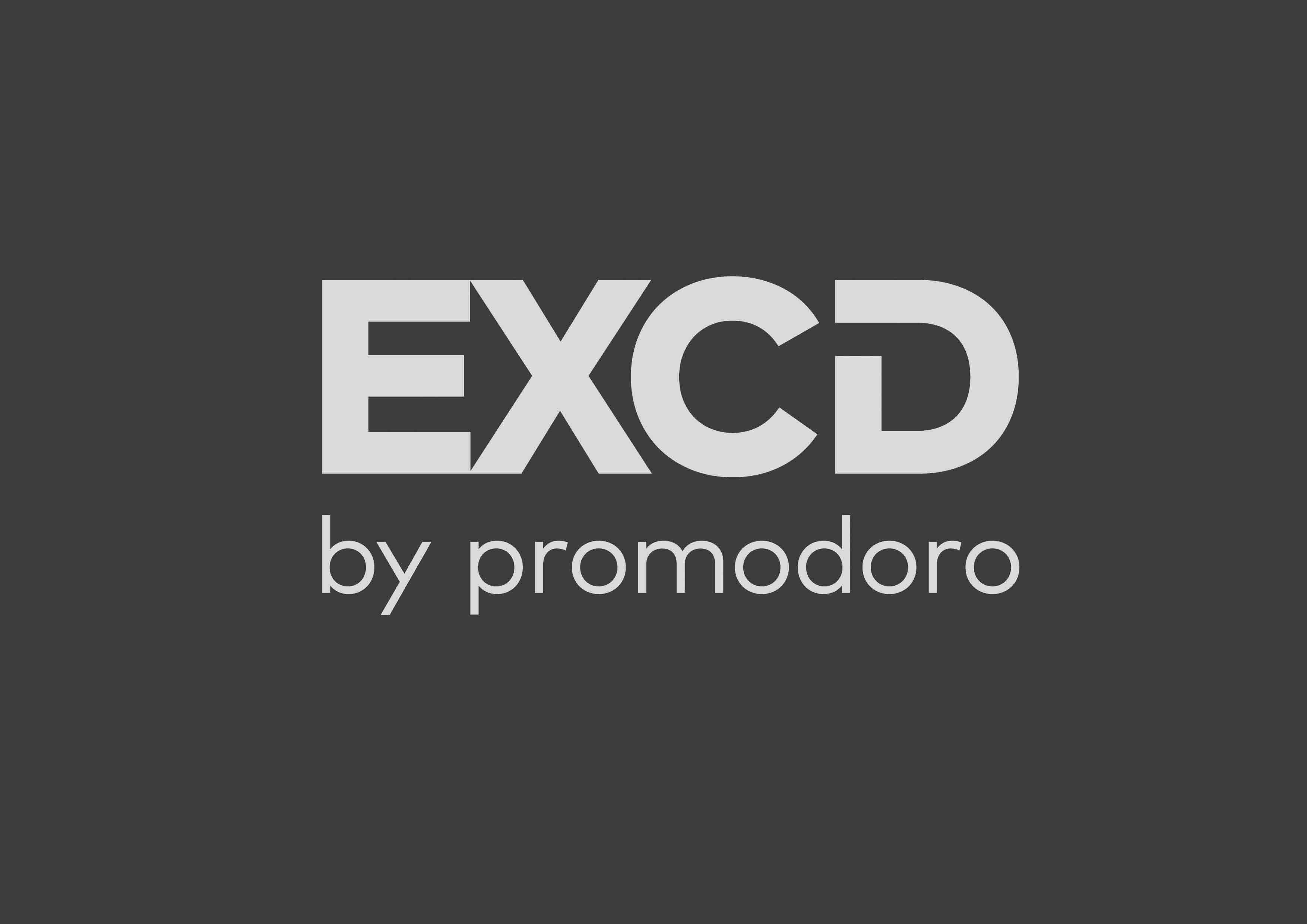 Men´s T-Shirt - CD3077 - EXCD by Promodoro