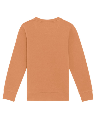 Crew neck sweatshirts - Stanley & Stella - STSK913