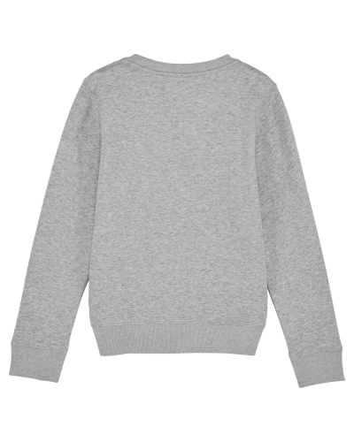 Crew neck sweatshirts - Stanley & Stella - STSK913