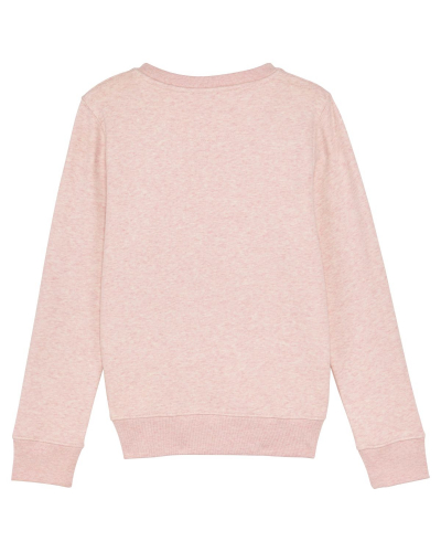 Crew neck sweatshirts - Stanley & Stella - STSK913