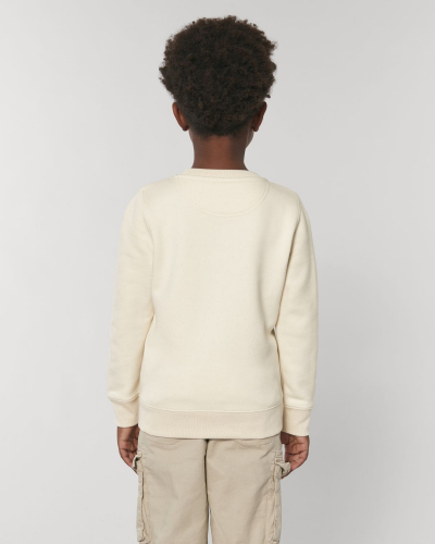 Crew neck sweatshirts - Stanley & Stella - STSK913