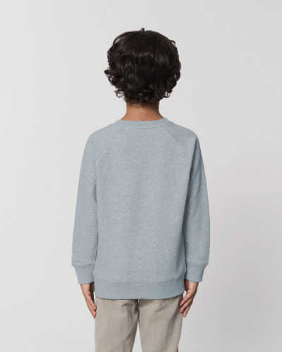 Crew neck sweatshirts - Stanley & Stella - STSK916