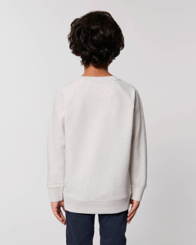 Crew neck sweatshirts - Stanley & Stella - STSK916