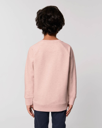 Crew neck sweatshirts - Stanley & Stella - STSK916