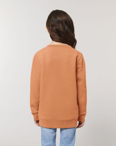 Crew neck sweatshirts - Stanley & Stella - STSK913