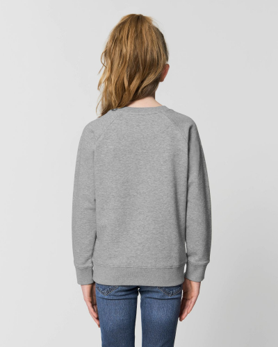 Crew neck sweatshirts - Stanley & Stella - STSK916