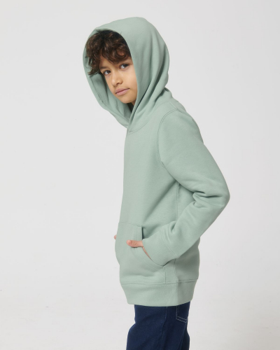 Hoodie sweatshirts - Stanley & Stella - STSK911