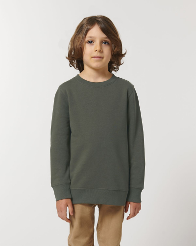 Crew neck sweatshirts - Stanley & Stella - STSK913