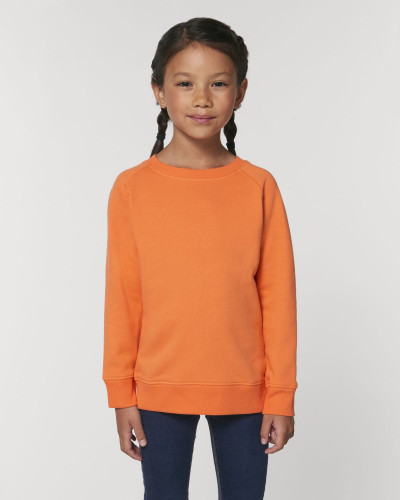 Crew neck sweatshirts - Stanley & Stella - STSK916